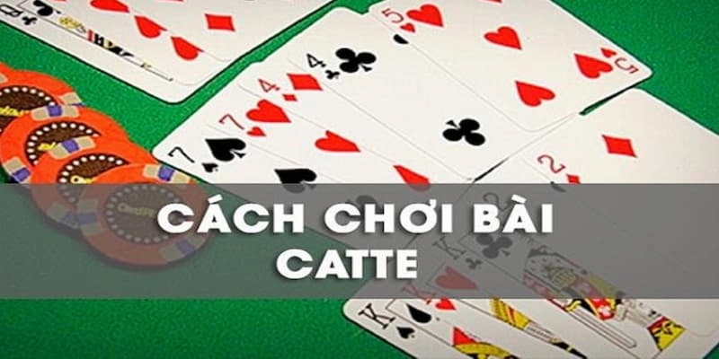 Giải thích bài cát tê là gì?